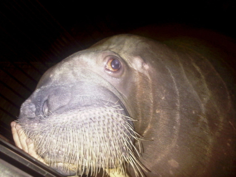 4083d54f4eb6964fd99221147f6d