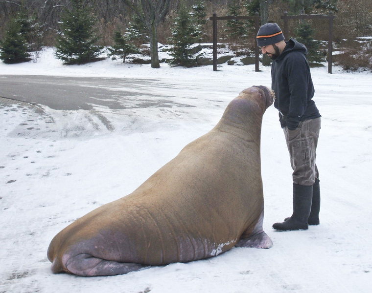 94fe0b2840bf84bb5985da34a664