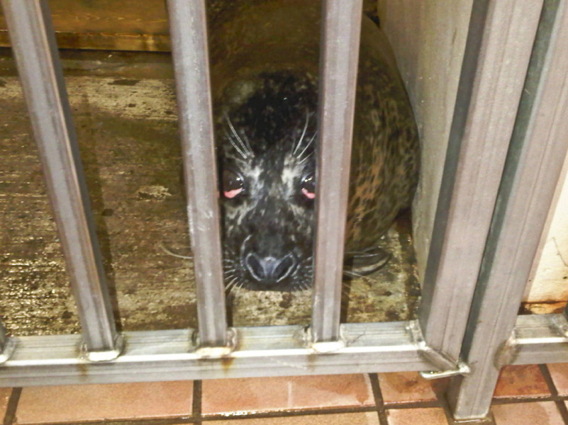 ea5aa35b4b178b5362b8ce066e81