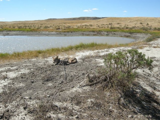 (Photo: Jamie Olson)