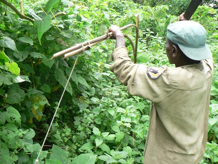 One of 114 snares found in just 4 days.