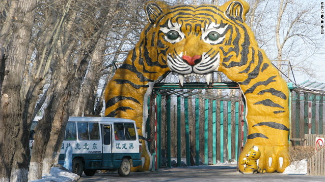 Xiongsen tiger breeding park.