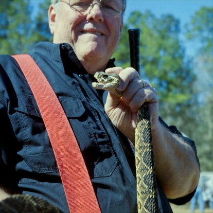 Snake milker Ken Darnel poses with eastern diamond back at the Whigham event. (Photo: Ryan Nabulsi)