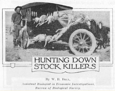 U.S. Department of Agriculture Year Book 1920.