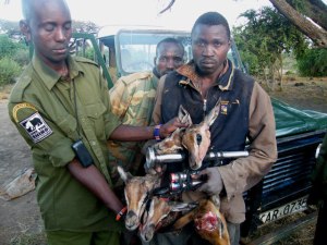 poacher arrested with bush meat