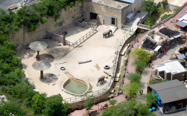 San Antonio elephant.jpg
